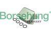 Borsehung B10888 Oil Cooler Golf7-Tiguan-A1-A3-Leon Cjza-Cjzb-Czca-Czcb 1.2 TSI-1.4 TSI Gasket with Beraber — Oil System