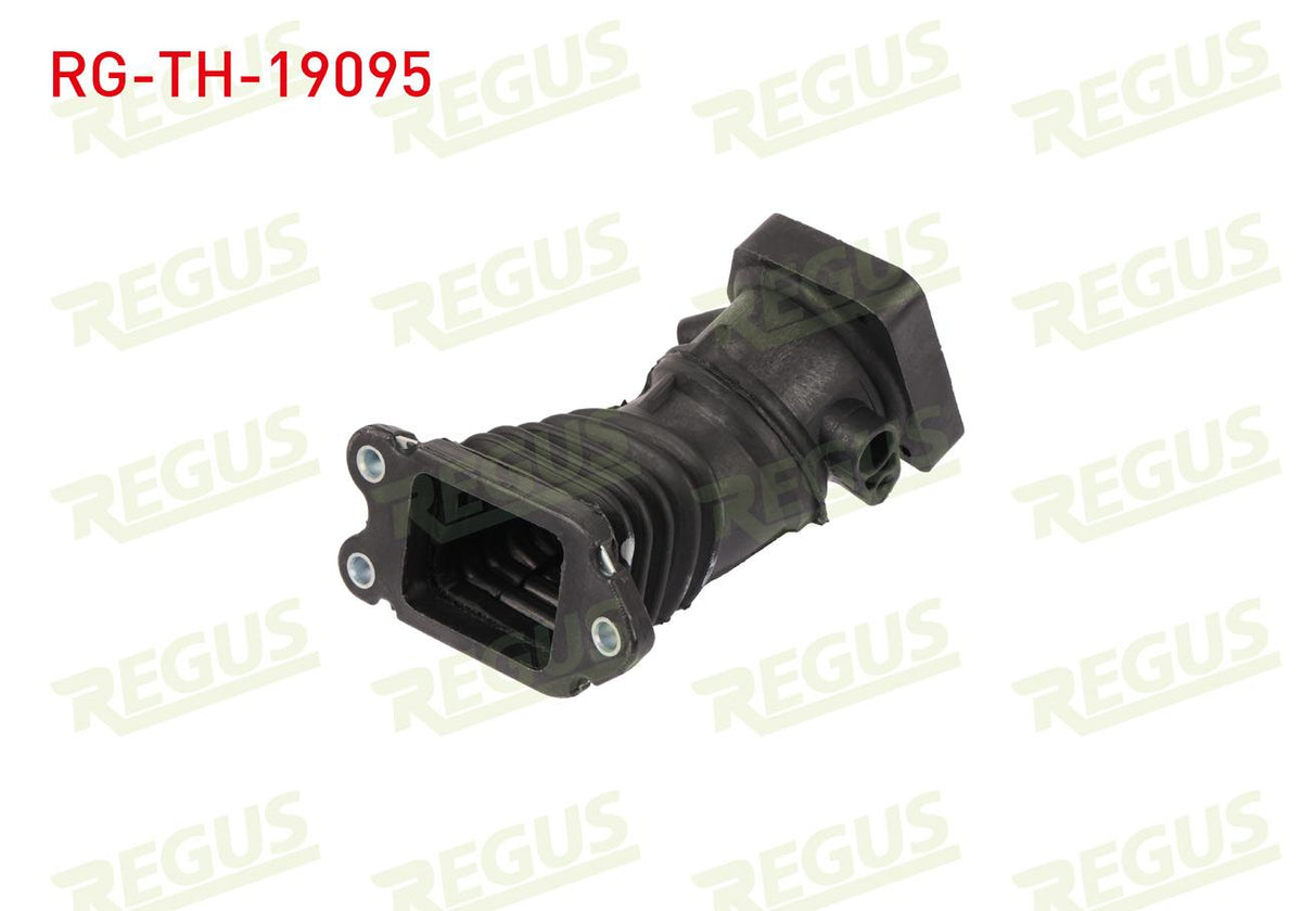 REGUS RG-TH-19095 Turbo Hose (Genuine) Focus 1.6 TDCi — Turbo & Supercharger