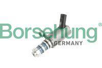 Borsehung B11858 Camshaft Oil Pressure Valve (Camshaft Shaft Kumanda Valve) Audi A1 / A3 / Polo / Ibiza / Fabia — Oil System