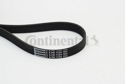 Continental CTAM 6PK1125 Serpentine Belt — Belts