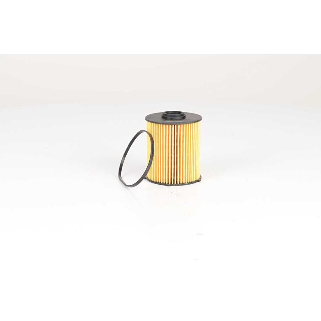 Bsg 60-130-022 Fuel Filter 210-163 611-612-613 1998-2005 — Fuel Delivery