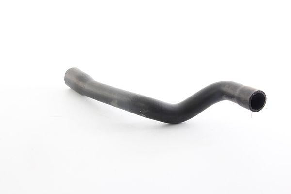Bsg 65-720-104 Radiator Hose Lower Vectra B X16xel-Z16xe 98-01 — Hoses & Tanks