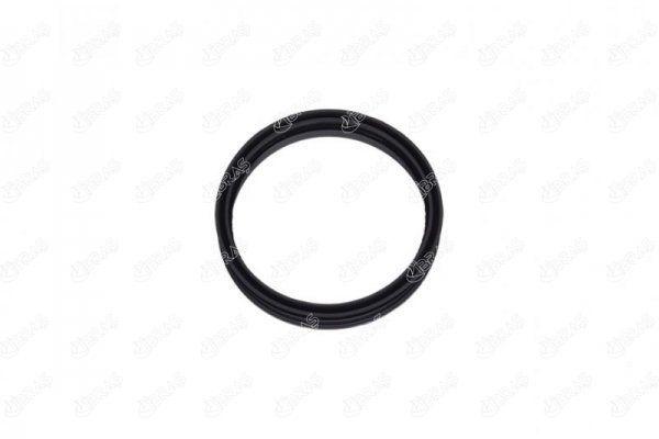 IBRAS Fuel Tank Gasket - Fits A4 A2 A3 A6 A8 Alhambra Arosa — İbraş, Gaskets & Seals