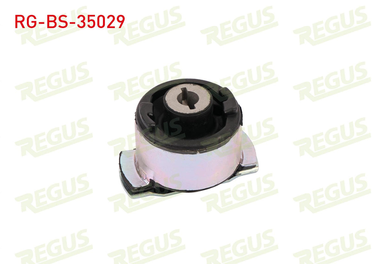 REGUS RG-BS-35029 Subframe Bushing Rear Right Renault Laguna II (Bg0 / 1) 1.6i 16V 2001-2007 — Bushings & Mounts