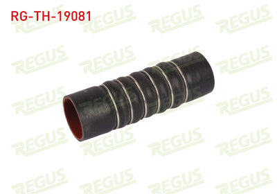 REGUS RG-TH-19081 Turbo Hose Ford Fiesta VI 1.6 TDCi 2008-2012 — Turbo & Supercharger