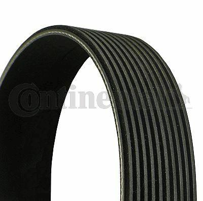 CONTINENTAL CTAM 10PK1145 - V Belt with 10 Ribs — Belts