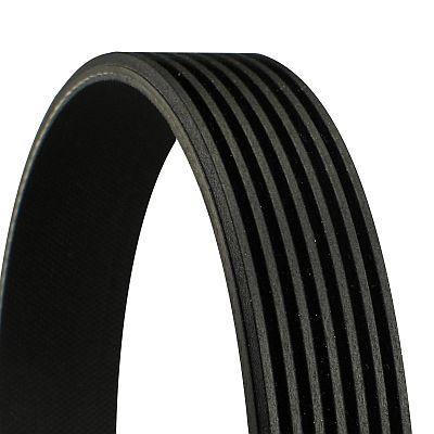CONTINENTAL CTAM 7PK1080 V-Ribbed Belt Alfa Romeo 155 156 166 2.0 95-07 — Belts