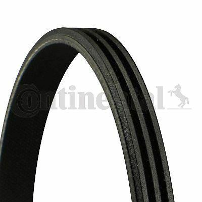 CONTINENTAL CTAM 3PK977ELAST V-Belt - Alfa Romeo Owners — Belts