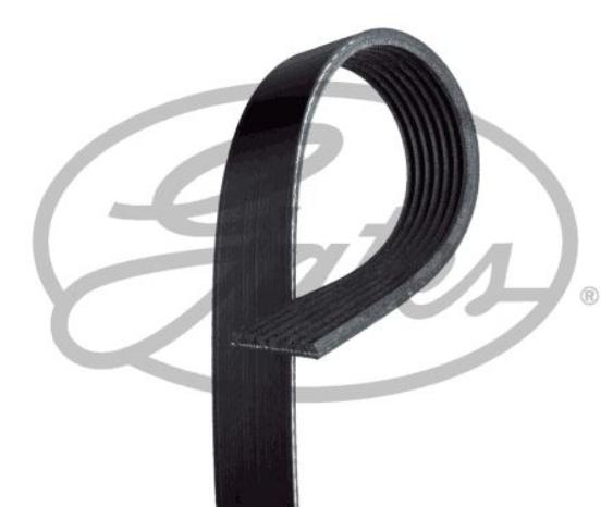Gates 7PK1600 Renault Clio 4 2012-2020 0.9 tCe 1.2 tCe Gasoline Alternator Belt 7 Pk 1600