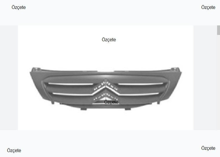 FROW KAROSERI 3031606002 Grille C3 06 / 10 — Bumpers & Grilles