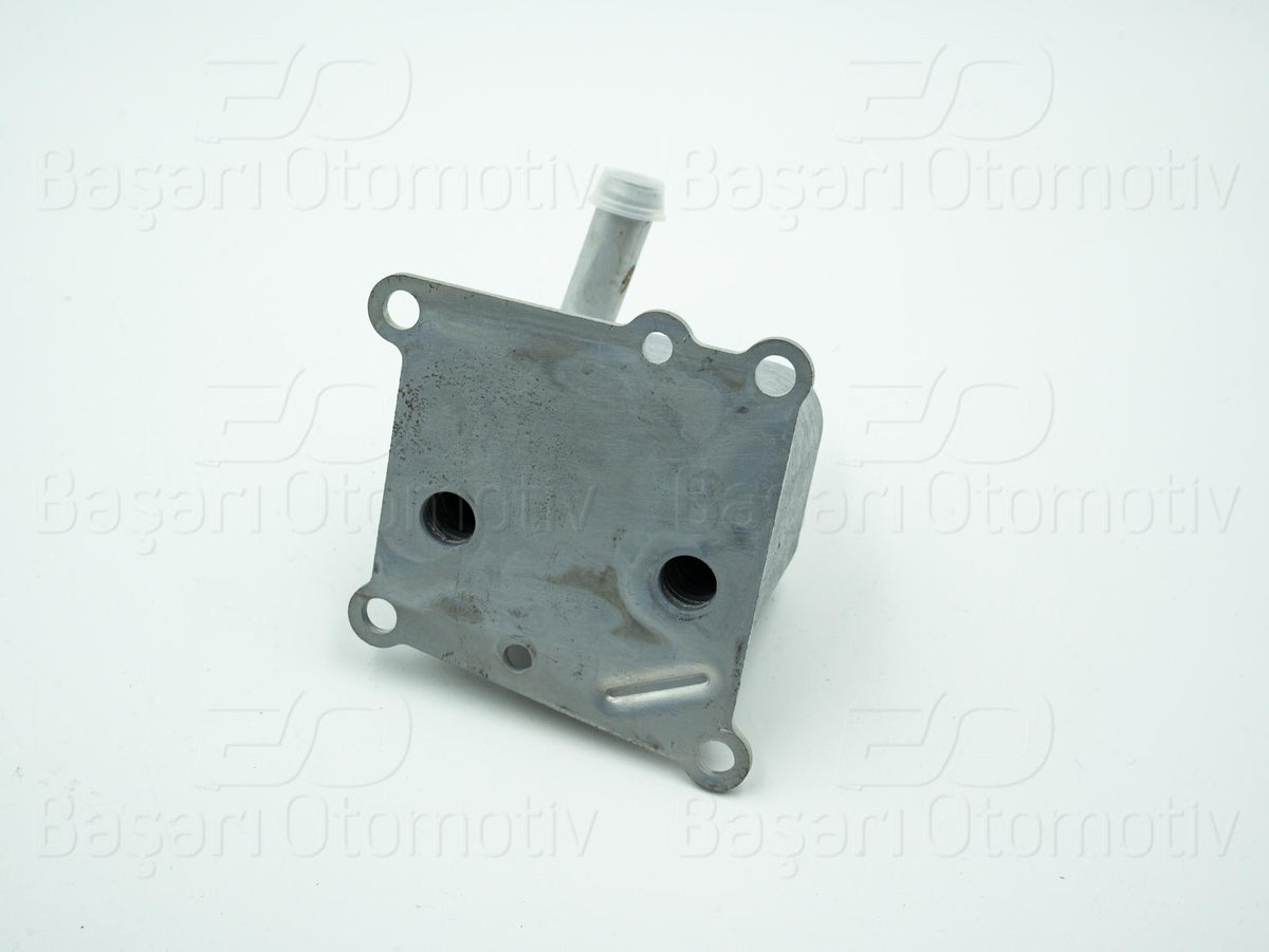 Wisco 3113646-00 Oil Cooler Single (Kutuksuz) Ford Focus Tourneo 1.8 TDCi 98 > — Oil System