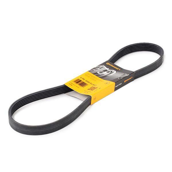 CONTINENTAL CTAM 6PK1029ELAST Ford Fiesta VI/Focus/C-Max/B-Max/Mondeo IV 1.25-1.6 Gasoline V Belt