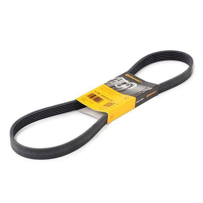 CONTINENTAL CTAM 6PK1029ELAST Ford Fiesta VI/Focus/C-Max/B-Max/Mondeo IV 1.25-1.6 Gasoline V Belt — Belts