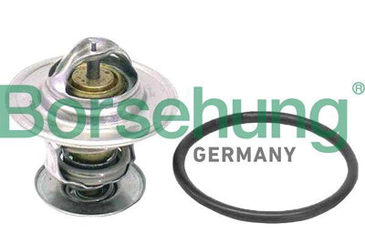 Borsehung B18262 Thermostat Scirocco / Golf / Passat / Caddy / Jetta / Toledo — Water Pump & Thermostat