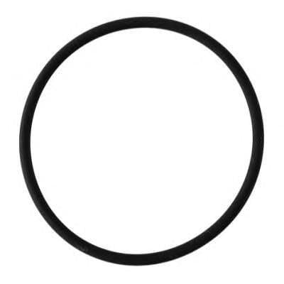 Opel Thermostat O-Ring 2008 - Compatible with Astra, Vectra and 2 more models — Water Pump & Thermostat