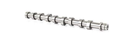Bsg 30-108-012 Camshaft Shaft Fiesta / Focus / 206 / 307 1.4 HDi / 1.4 TDCi 02-12 — Timing