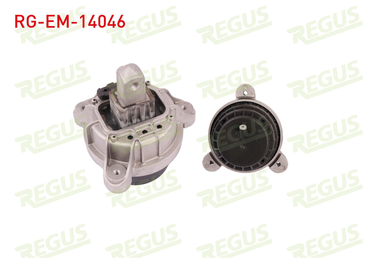 REGUS RG-EM-14046 Engine Mount BMW 5 Series (F10) 5.20 D 2010