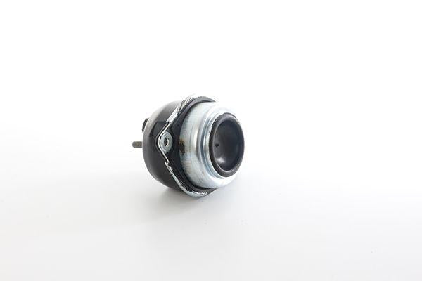 Bsg 75-700-082 Engine Mount Right with Oil Laguna II / Espace IV / Vel Satis 2.0-1.9 dCi-1.6 01- — Mounts