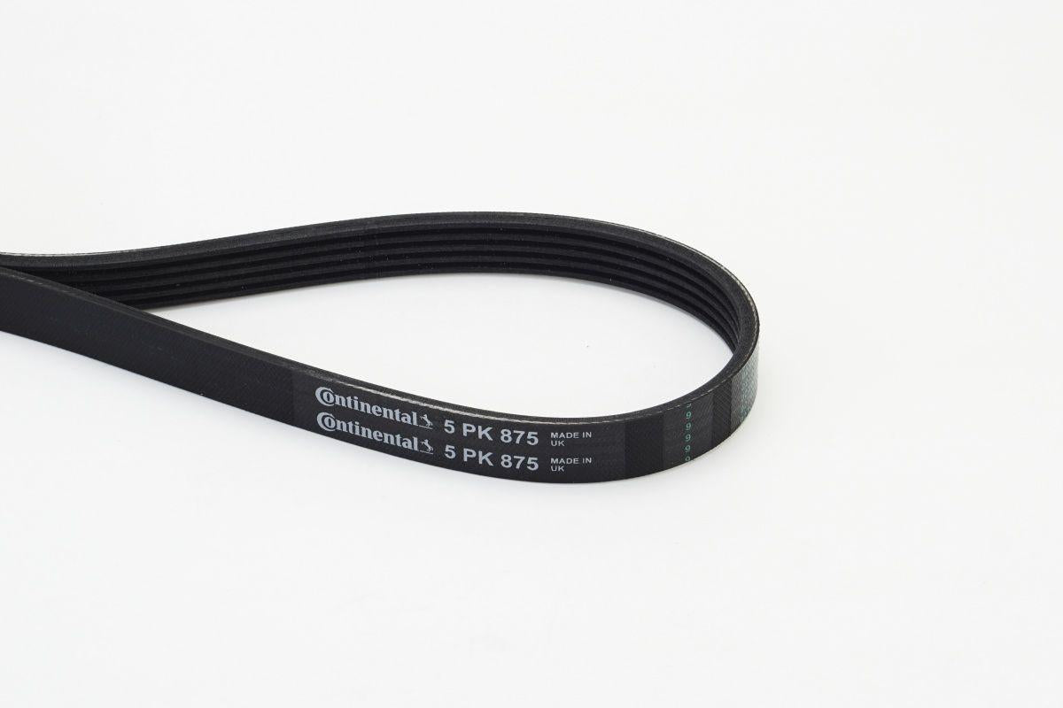 CONTINENTAL CTAM 5PK875 V Belt Ford Mondeo 1.8Td 96-01, Renault Clio/Kangoo, Peugeot Partner 1.4