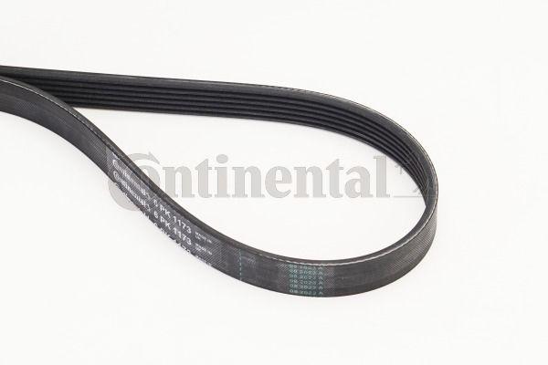 CONTINENTAL CTAM 6PK1173 V-Ribbed Belt BMW F40 F45 F46 F48 Mini F56 F60 B37 B38 (11289888807) — Belts