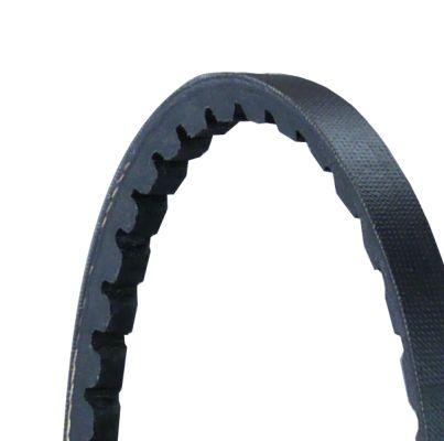CONTINENTAL CTAM AVX10X700 Continental Ctam / Belt Fan Universal