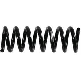 Lesjöfors Mercedes W204 Rear Coil Spring — Springs
