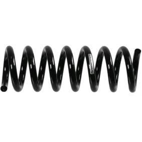 Lesjöfors 4256876 Mercedes W204 Rear Coil Spring Set — Springs