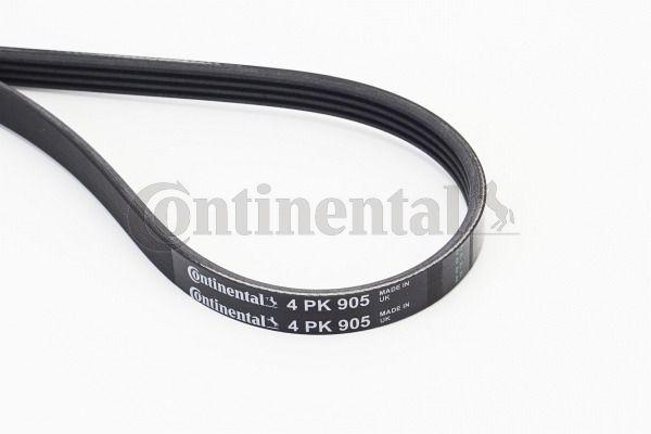 CONTINENTAL CTAM 4PK905 V-Ribbed Belt Clio Kangoo 1.2 Citroen Dacia Dodge Fiat Chrysler Mazda Nissan Plymouth — Belts