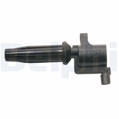 Delphi GN10229-12B1 Ignition Coil