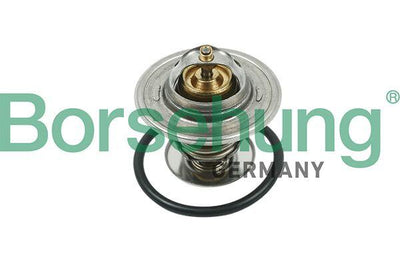 Borsehung B13141 Thermostat (87C) (Tx1587d) A3-A4-A6-Bora-Caddy II — Water Pump & Thermostat