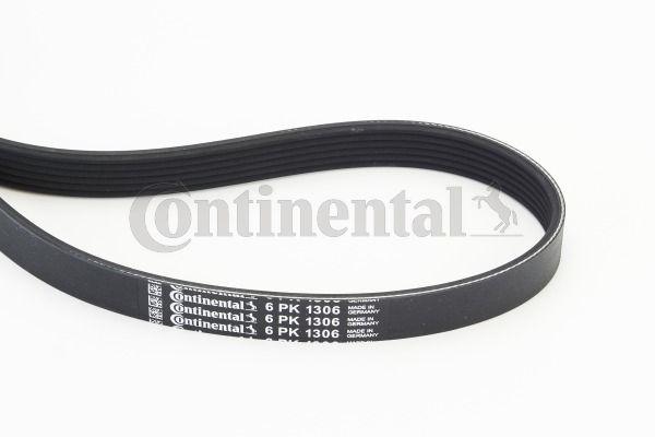 CONTINENTAL CTAM 6PK1306 V-Ribbed Belt Ford C Max 1.8 2.0 16V 07 Focus 04 Focus C Max (03 07) Mazda Nissan Volvo — Belts