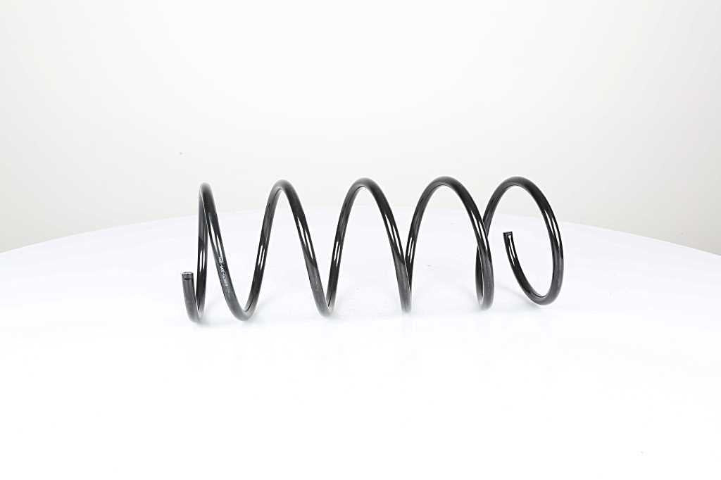 Bsg 70-305-004 Coil Spring Front 206 / 306 B.M 00 — Springs