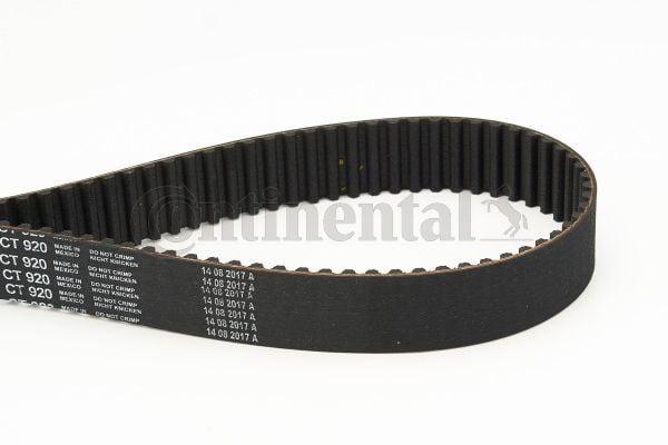 Continental CTAM CT920 Timing Belt - Compatible with 1997-2006 Passat 2.8 V6 — Belts