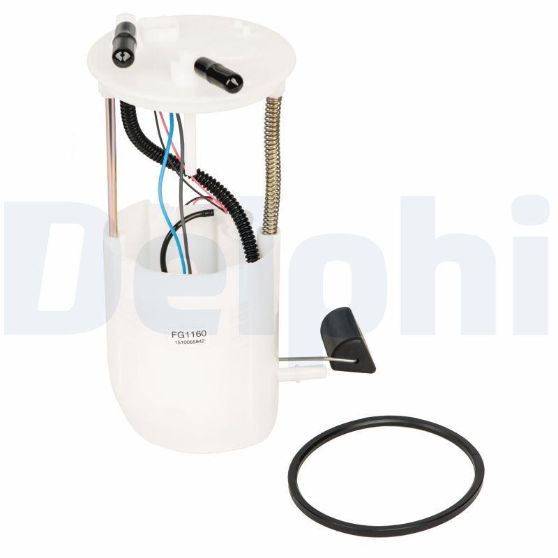 Delphi FG1160-12B1 Level Float