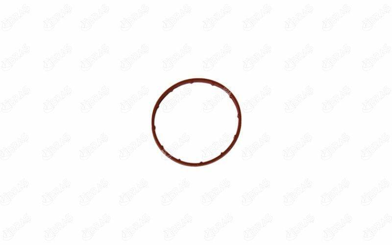 IBRAS Vacuum Pump O-Ring Kit - Compatible with Fiesta Fusion 2004-2012 — İbraş, Crankcase & Ventilation