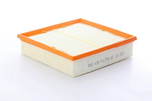 Bsg 60-135-027 Air Filter W176-246-117 M651-607 12 — Air & Cabin Filters
