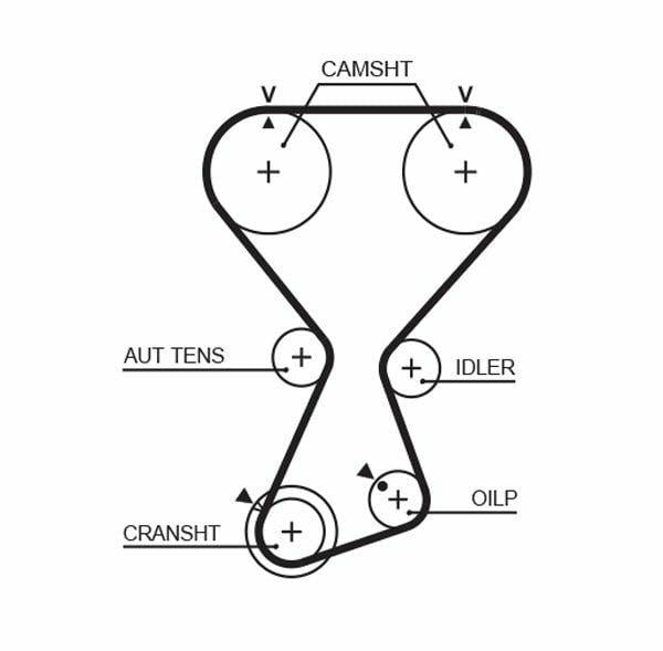 GATES T313 Timing Belt - Durable HNBR Construction — Belts