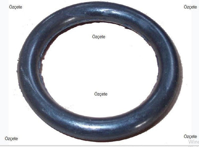 Bitapart BPE259004 Intake Manifold Gasket (Set) Ford Fiesta/Fusion 1.4 TDCi — Gaskets & Seals