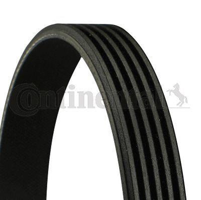 Continental CTAM 5PK1120 V Belt - Optimal Fit for Toyota Corolla 2.0D (99-03) & Rav4 I-II 2.0D — Belts