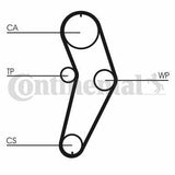 Continental CTAM CT709 Timing Belt - Compatible with R19-Mgn-Clo 1.4-1.6 8V — Belts