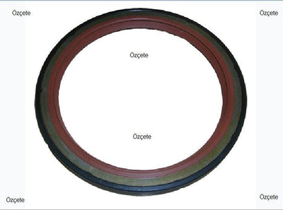 Bitapart BPE231002 Rear Crankshaft Seal Dv4td