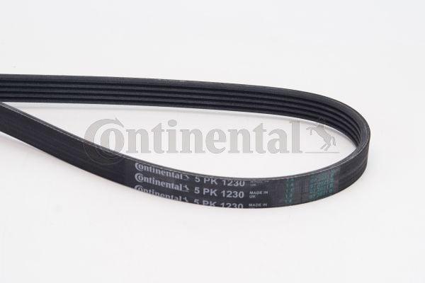 CONTINENTAL CTAM 5PK1230 — Belts