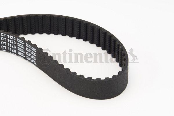 CONTINENTAL CTAM CT1120 Timing Belt Crafter 2.5 TDI 06- — Belts