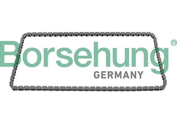 Borsehung B12592 Camshaft Zinciri 205-246-117-213-447-Bm 270 Motor (Closed) Single Chain — Timing