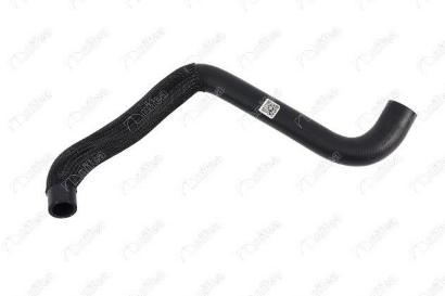 NIFEA 17672 Radiator Lower Hose Partner 1,6Hdi — Radiators & Fans