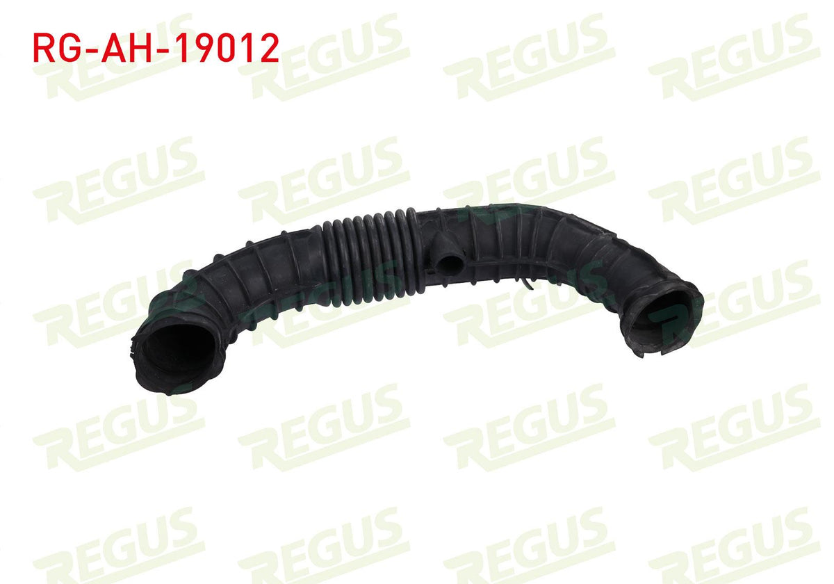 REGUS RG-AH-19012 Air Filter Hose Transit V347 / V362 / V363 — Air & Cabin Filters