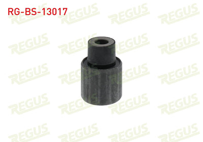 REGUS RG-BS-13017 Control Arm Bushing Front Left-Right Upper Audi A4 (8D2,B5) 1.6 1994-2001 — Bushings & Mounts