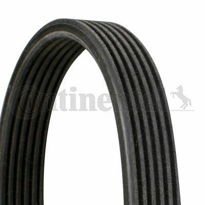 Continental V Belt - CTAM 6DPK1188 for Polo 1.4 TDI — Belts