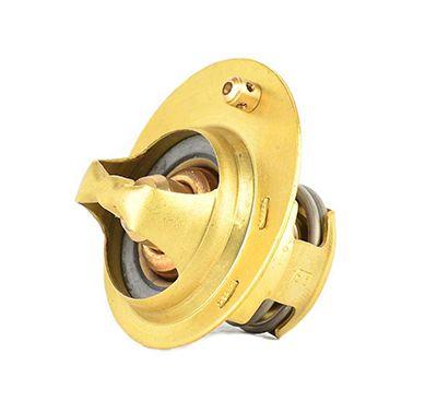 Bsg 30-125-017 Thermostat Focus / Fiesta 1,25-1.4-1.6 Benz 95-04 — Water Pump & Thermostat