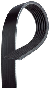 GATES 7PK1179SF V Belt - Durable EPDM Material — Belts
